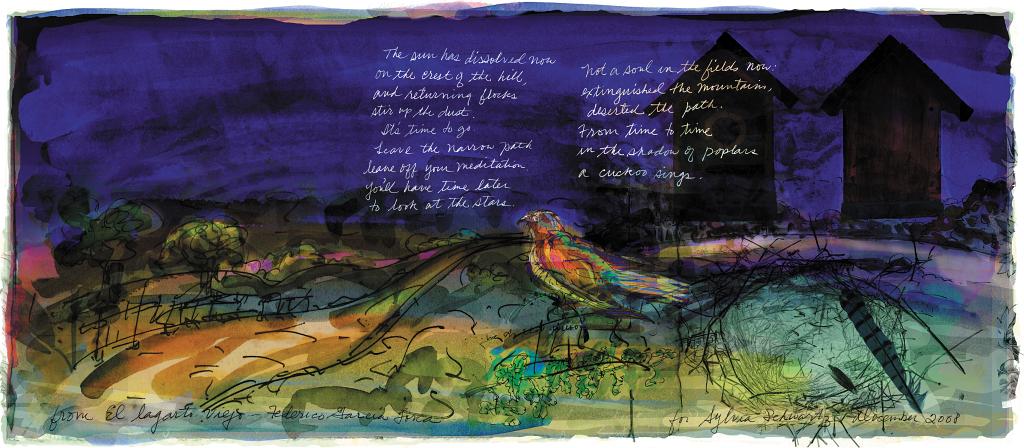 El Largato Viejo.jpg